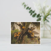 ココナッツの木と青い海、バリ島インドネシア - 旅行ポストカード シーズンポストカード (スタンド正面)