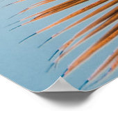 ココナッツの木のローアングル写真 ポスター (角)