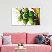 ココナッツの集カリブのまり キャンバスプリント (インサイチュ (リビング))