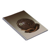 ココナッツは顔、c.1895に彫刻しました ノートブック (右側)