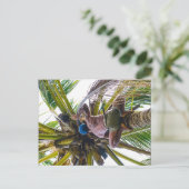 ココナッツをクリーンアップする時間 ポストカード (スタンド正面)