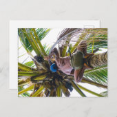 ココナッツをクリーンアップする時間 ポストカード (正面/裏面)