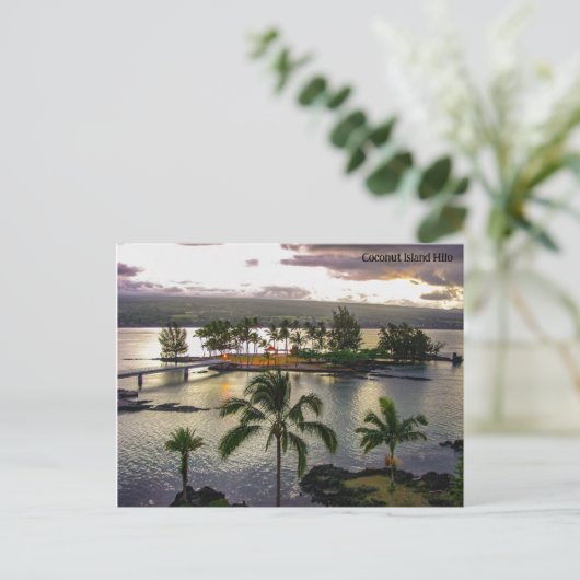 ココナッツアイランドヒロハワイ シーズンポストカード (スタンド正面)