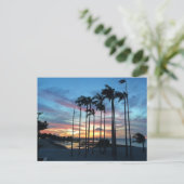 ココナッツアットザビーチ ポストカード (スタンド正面)