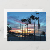 ココナッツアットザビーチ ポストカード (正面/裏面)