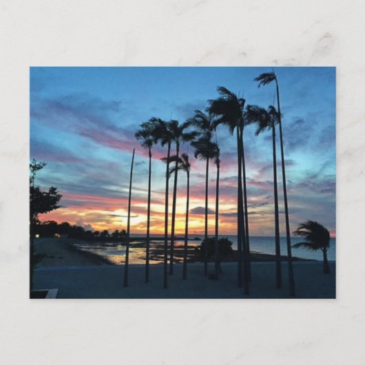 ココナッツアットザビーチ ポストカード (正面)