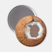 ココナッツウォーター色 – マグネット (正面/裏面)