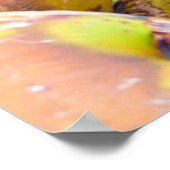 ココナッツウォーター鍵ウエストFLココナッツポスター ポスター (角)