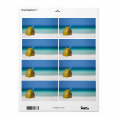 ココナッツオンザビーチ ラベル (フルシート)