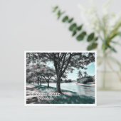 ココナッツクリークフロリダ ポストカード (スタンド正面)