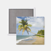 ココナッツグローブビーチアットカデスベイ,セント2 マグネット (正面/裏面)