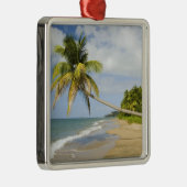 ココナッツグローブビーチアットケードスベイウィズSt. 2 メタルオーナメント (右)