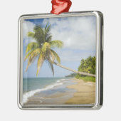ココナッツグローブビーチアットケードスベイウィズSt. 2 メタルオーナメント (左)