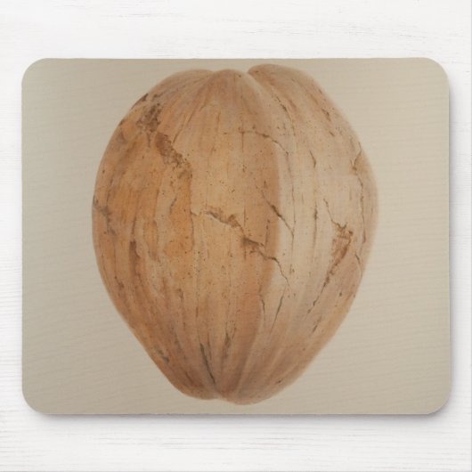 ココナッツスリランカ2010年 マウスパッド (正面)