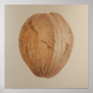 ココナッツスリランカ2010 ポスター