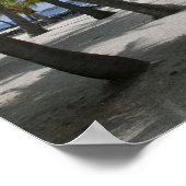 ココナッツツリーズアットプレイスオブレイクホワイハワイプリント ポスター (角)