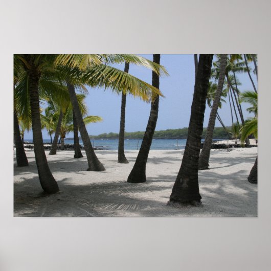 ココナッツツリーズアットプレイスオブレイクホワイハワイプリント ポスター (正面)