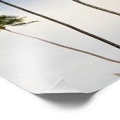 ココナッツツリーズブラジルフォトプリント フォトプリント (角)