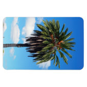 ココナッツツリーフォトマグネット マグネット (横)