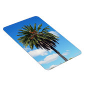 ココナッツツリーフォトマグネット マグネット (右側)