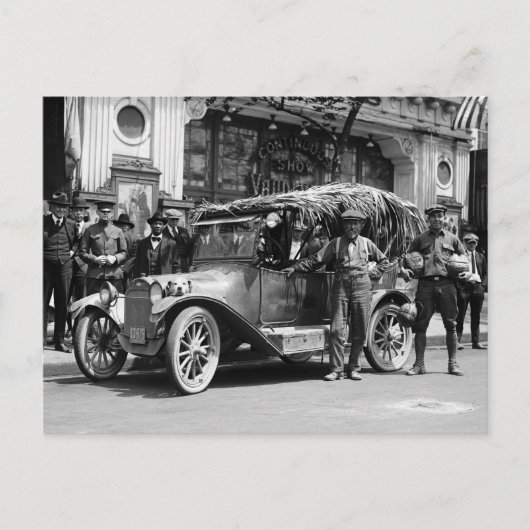 ココナッツドライブ： 1922 ポストカード (正面)