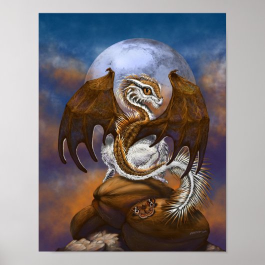 ココナッツドラゴン11x14 （4x6以上） ポスター (正面)