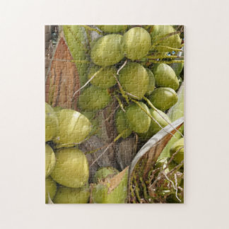 ココナッツパズル ジグソーパズル