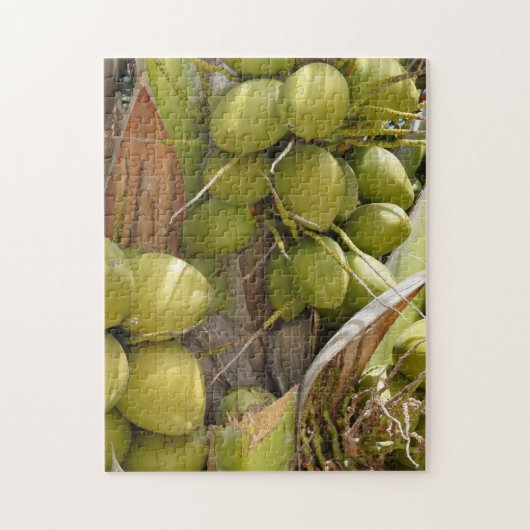 ココナッツパズル ジグソーパズル (縦)