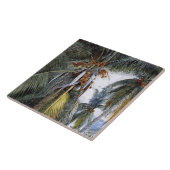 ココナッツパームズ、鍵ウエスト、フロリダ州 タイル (側面)