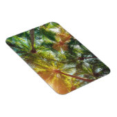 ココナッツパームツリーズオンビーチ マグネット (右側)