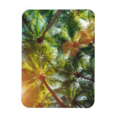 ココナッツパームツリーズオンビーチ マグネット (縦)