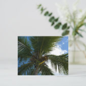 ココナッツパームツリートロピカル自然 (スタンド正面)