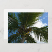 ココナッツパームツリートロピカル自然 (正面/裏面)