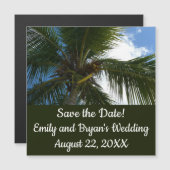 ココナッツパームツリートロピカル自然 (正面/裏面)