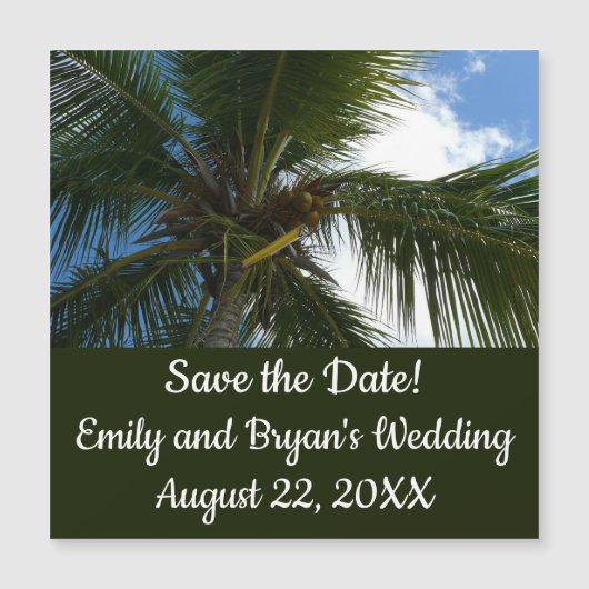 ココナッツパームツリートロピカル自然 (正面)