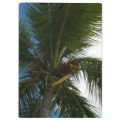 ココナッツパームツリートロピカル自然 クリップボード (裏面)