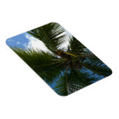 ココナッツパームツリートロピカル自然 マグネット (右側)