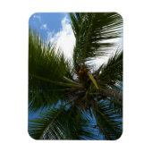ココナッツパームツリートロピカル自然 マグネット (縦)