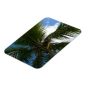 ココナッツパームツリートロピカル自然 マグネット (左側)