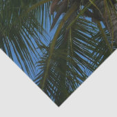ココナッツパームツリートロピカル自然 薄葉紙 (詳細)