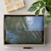 ココナッツパームツリートロピカル自然 薄葉紙 (ギフト)