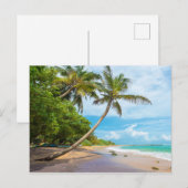 ココナッツパームミリッサビーチ |スリランカ ポストカード (正面/裏面)