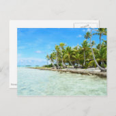 ココナッツビーチはがき ポストカード (正面/裏面)