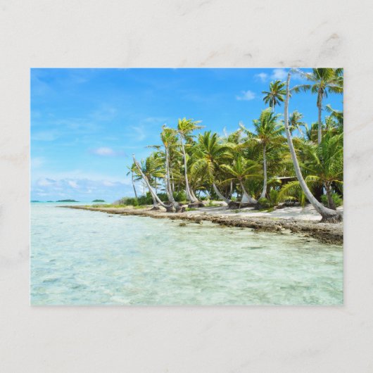 ココナッツビーチはがき ポストカード (正面)
