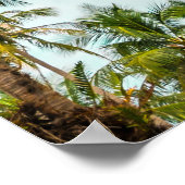 ココナッツヤシの木のヴィンテージフィルタ。 ポスター (角)