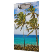 ココナッツヤシの木(Cocos nucifera)が揺れる クリップボード (左)