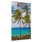 ココナッツヤシの木(Cocos nucifera)が揺れる クリップボード (右)