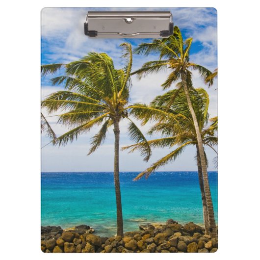 ココナッツヤシの木(Cocos nucifera)が揺れる クリップボード (正面)