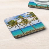 ココナッツヤシの木(Cocos nucifera)が揺れる コースター (左側)