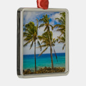 ココナッツヤシの木(Cocos nucifera)が揺れる メタルオーナメント (右)